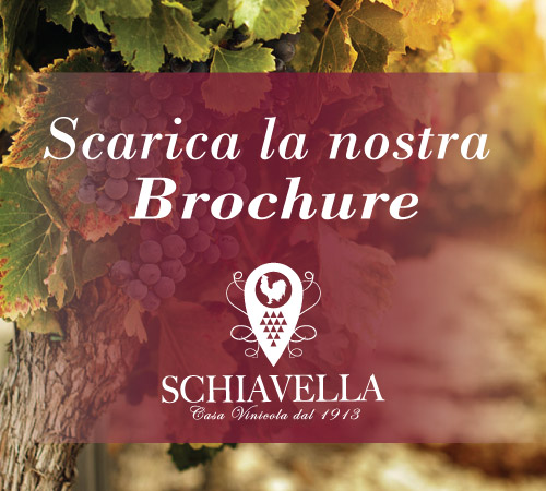 Vinicola Schiavella